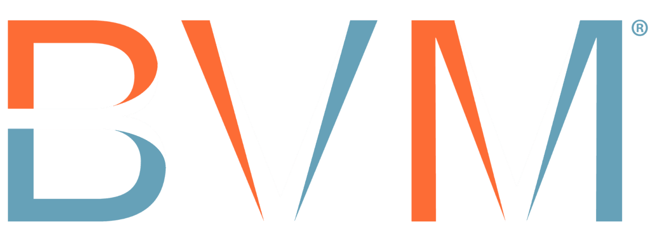 BVM Consultores