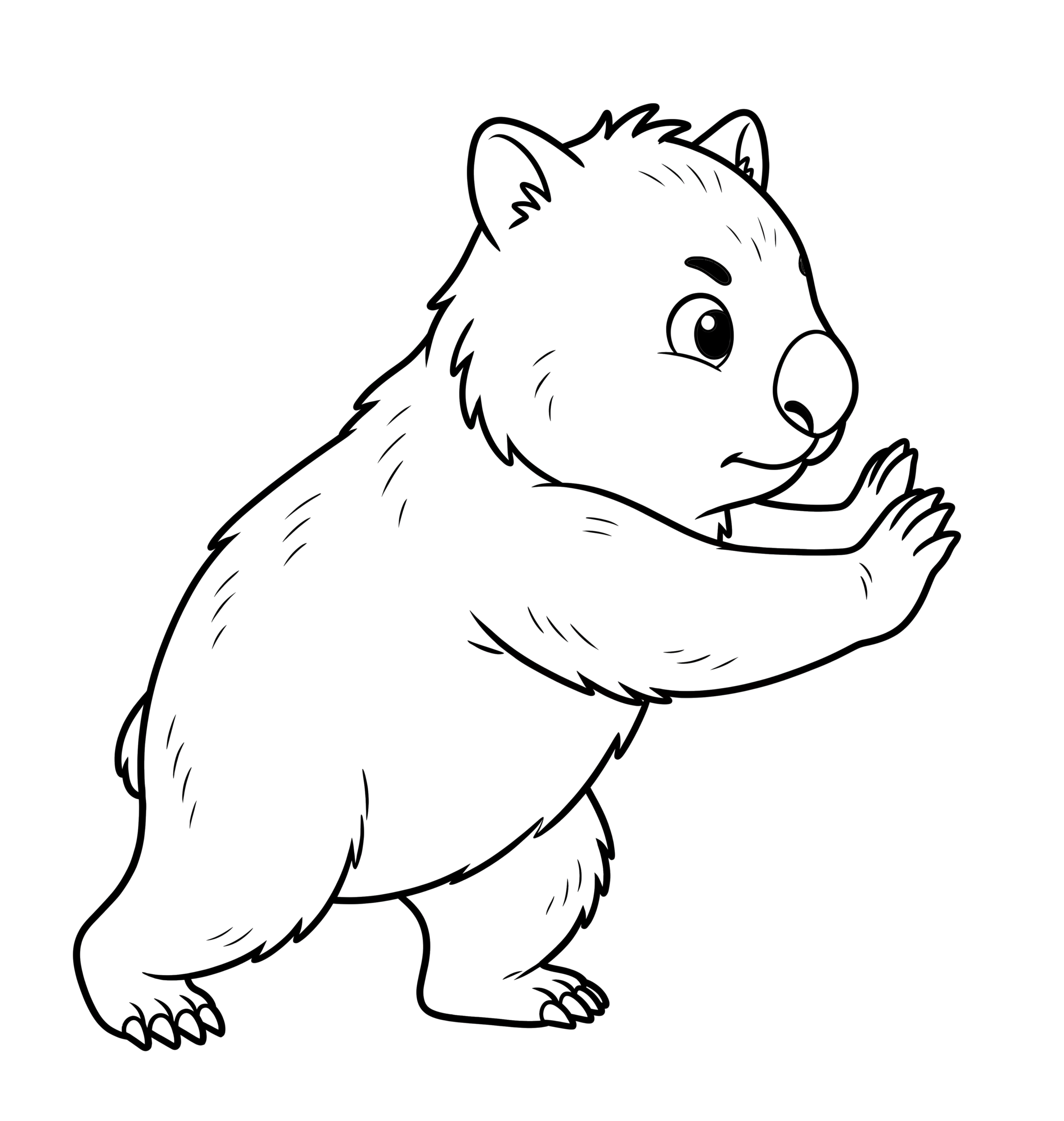 Onya Wombat